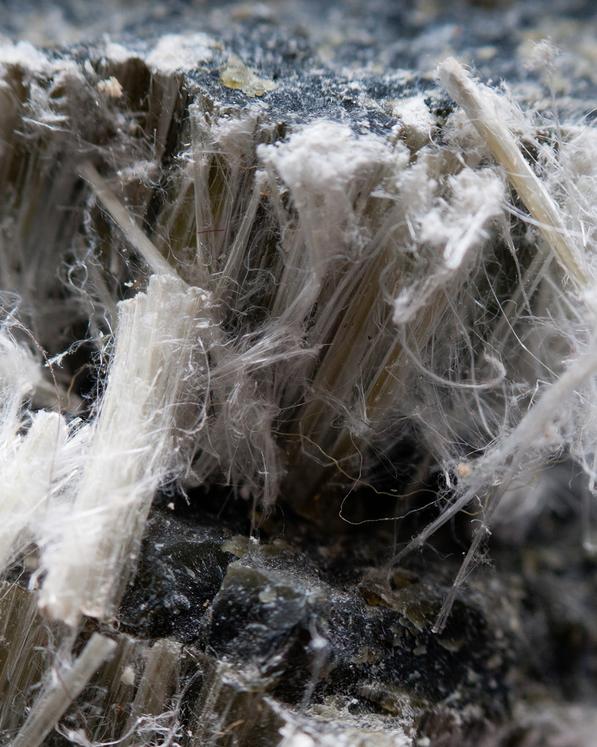 Asbestos - The Facts