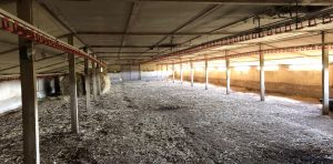Removing asbestos from farm buildings